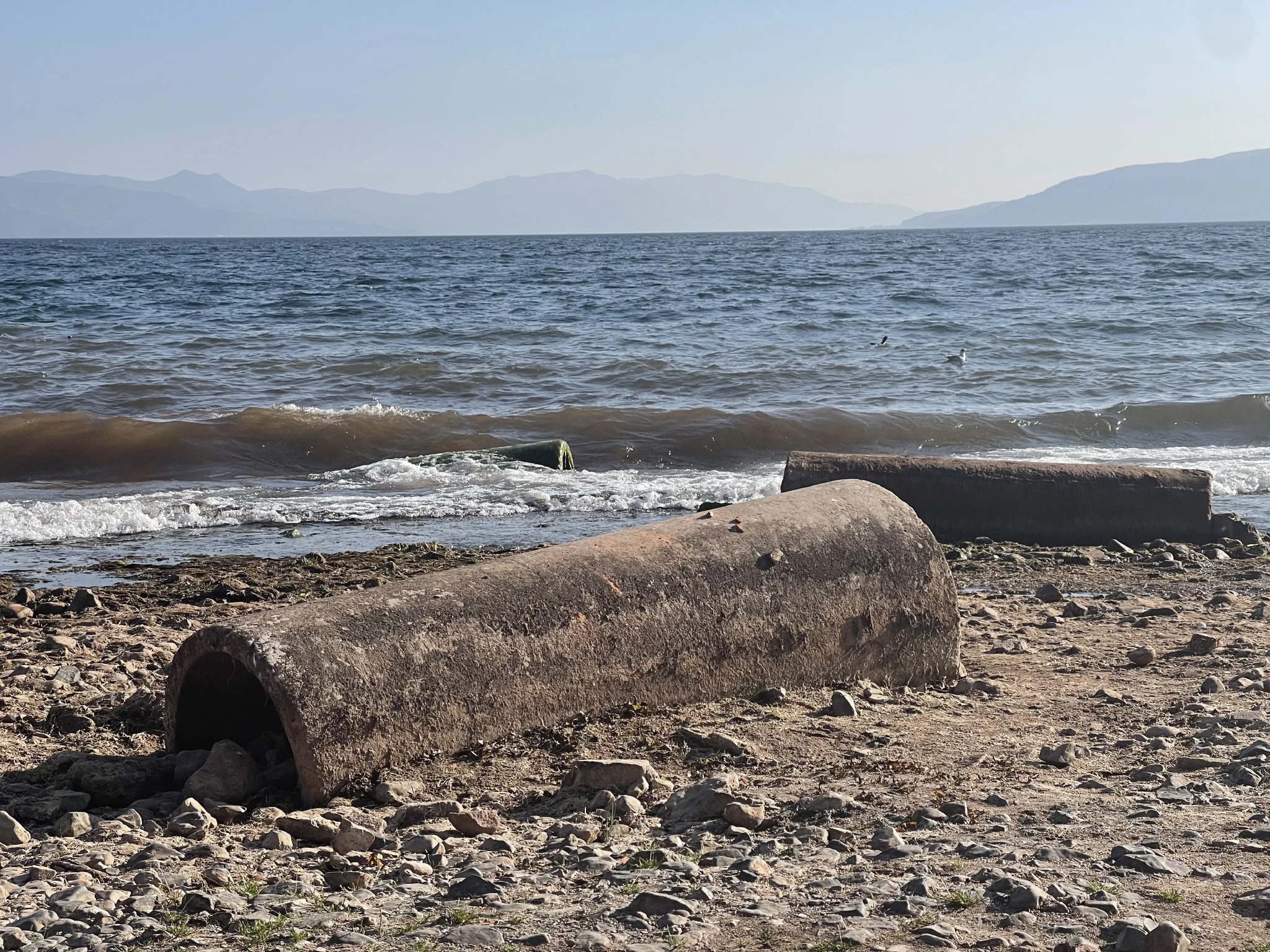 B773687871ED5191AEEA4EA1737E57DF