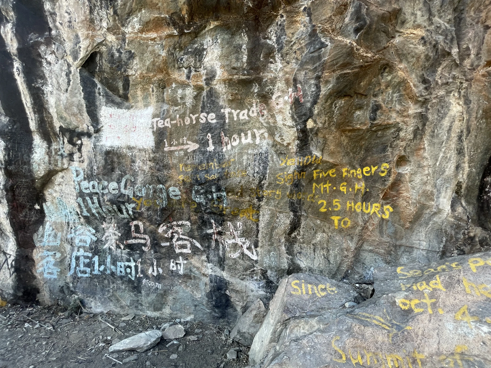 2334A23CD4CB12954A6FD1A41F6BE6C7