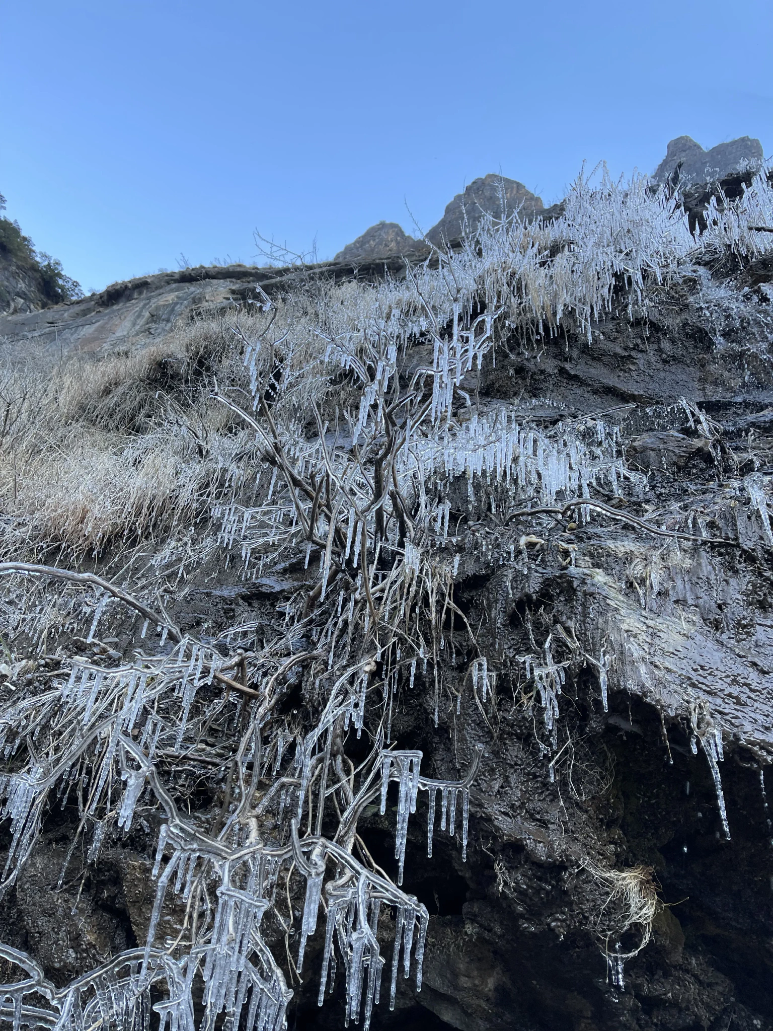 BE26730289212E060FF456DA5A642949