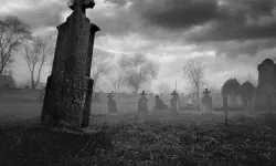 Featured image of post 2023 年度总结