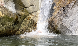 Featured image of post Summer Cooling Off: A Water Play Diary