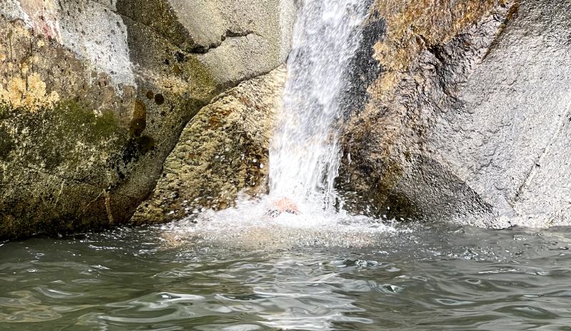 Featured image of post Summer Cooling Off: A Water Play Diary