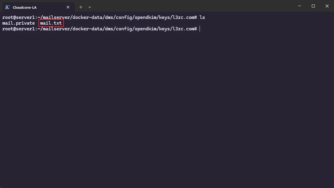 mail.txt 便是公钥的 DNS Zone file