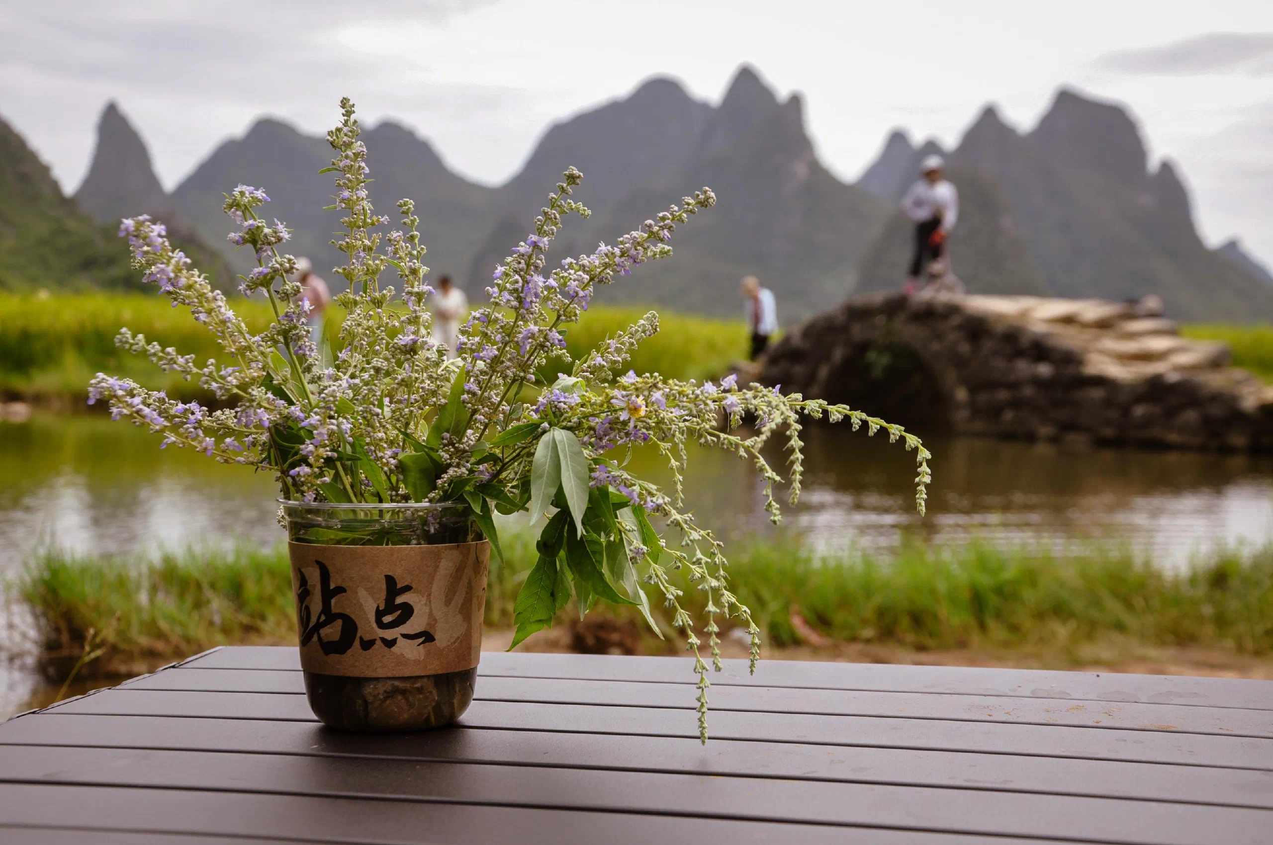 Featured image of post 近況：桂林，樹莓派，以及我的 RSS Feed